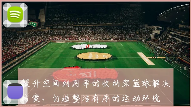 提升空间利用率的收纳架篮球解决方案，打造整洁有序的运动环境