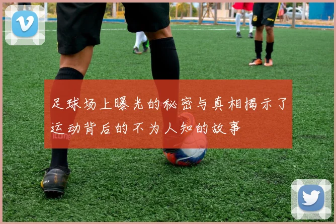 足球场上曝光的秘密与真相揭示了运动背后的不为人知的故事